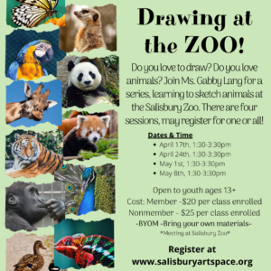 Drawing at the Zoo! - Salisbury Art Space
